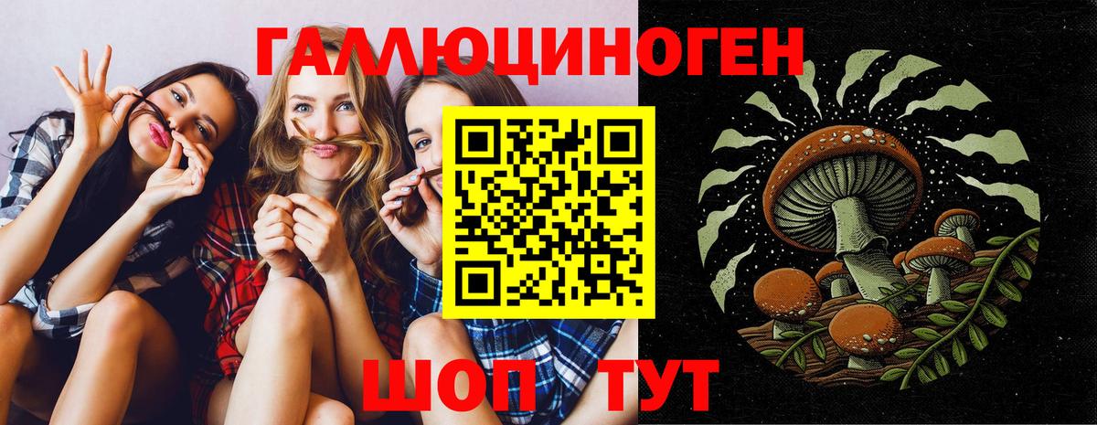 Псилоцибиновые грибы Magic Shrooms Новозыбков