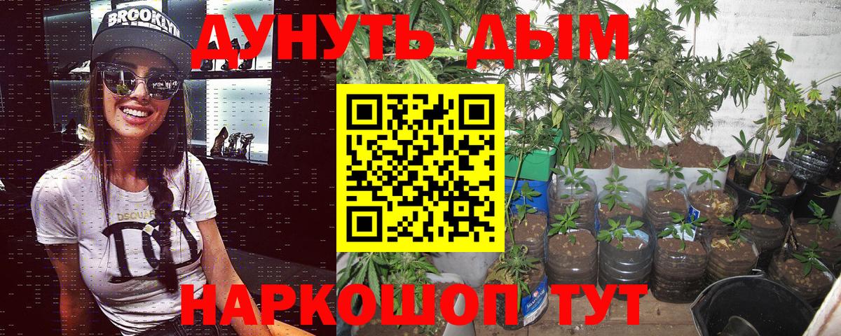 Бошки марихуана THC 21%  Каннабис гибрид  Новозыбков  Вход с VPN 